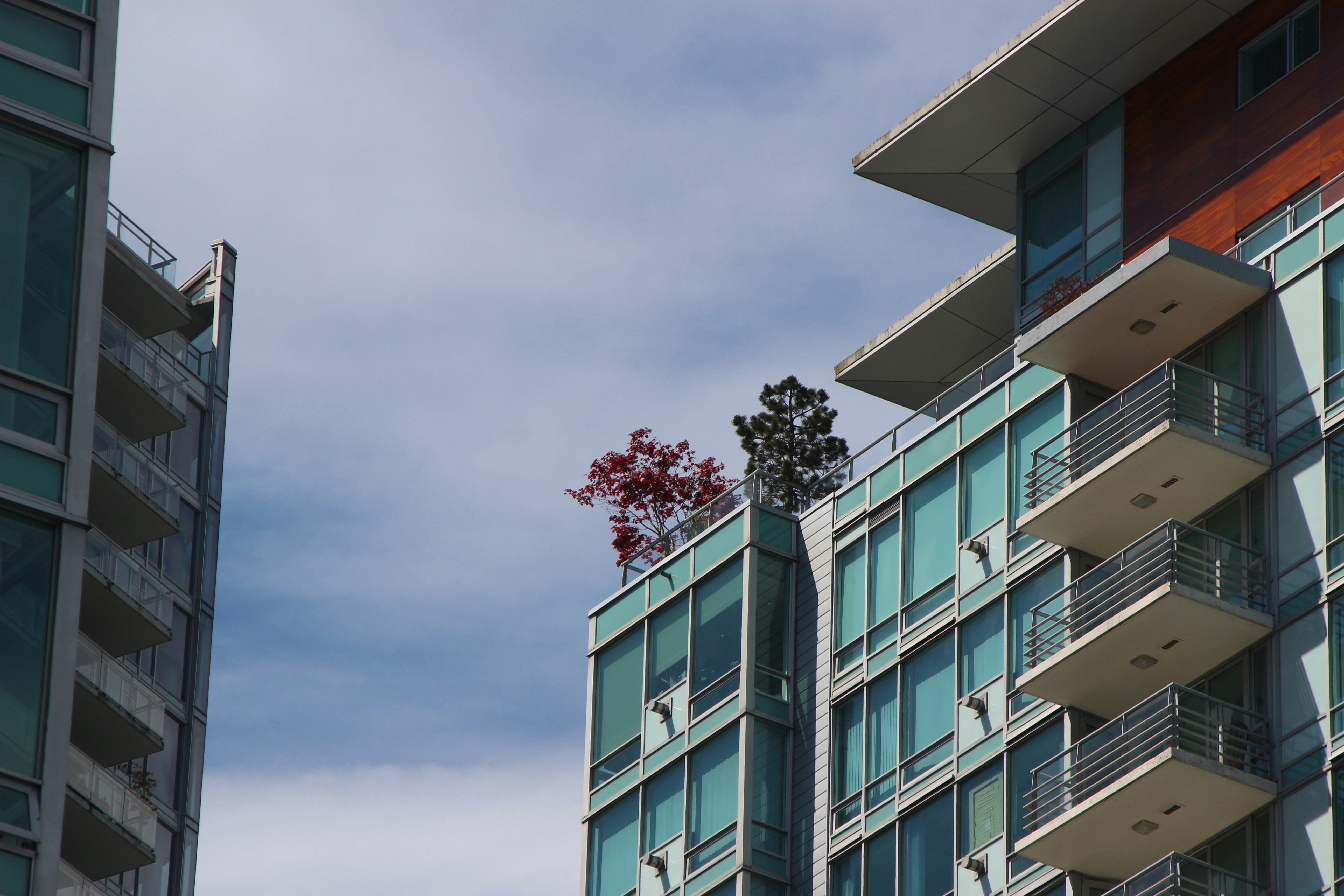 Taahhüt Saha Organizasyonu